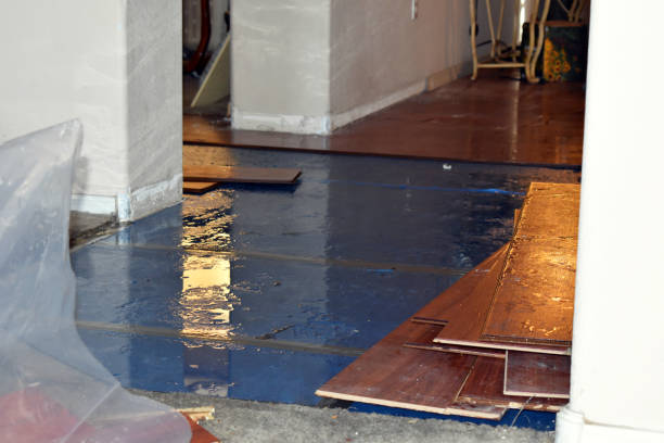 Professional Water Damage Restoration technician working in Cook, MN